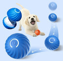 Bolinha Eletrônica Para Cachorro Brincar Movimento Automatico Recarregavel USB