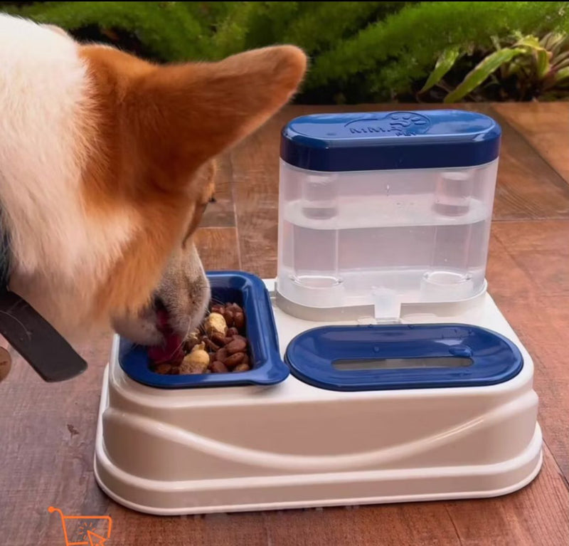 comedouro e bebedouro  (PARA PELOS CURTOS E LONGOS) para cães e Gatos