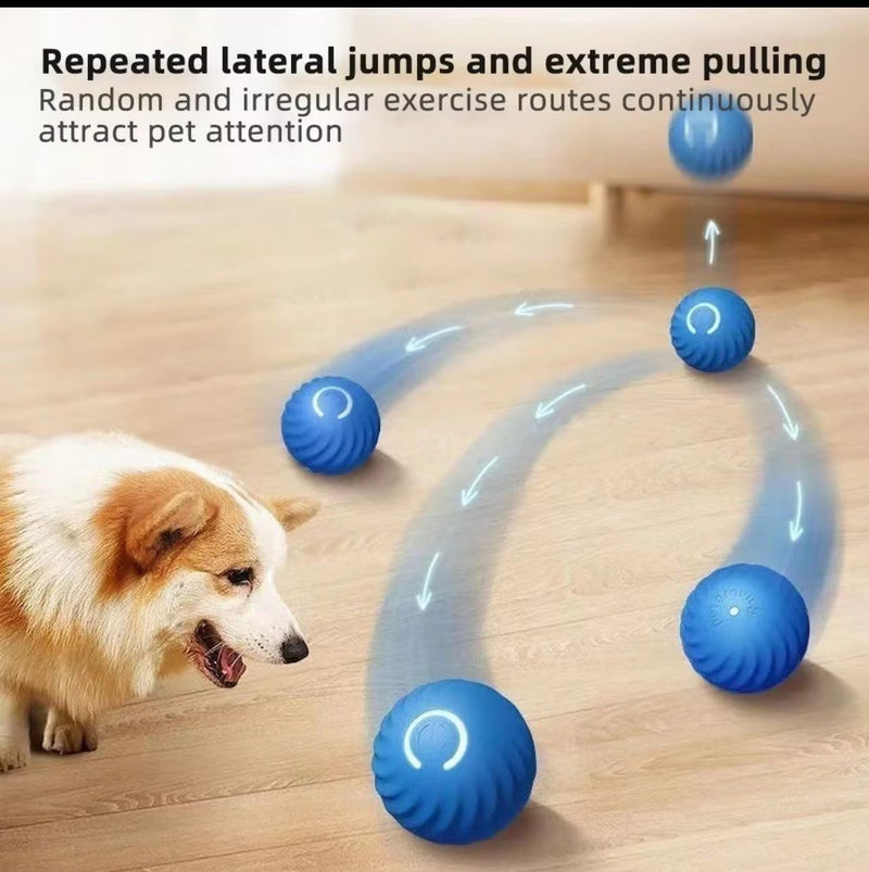 Bolinha Eletrônica Para Cachorro Brincar Movimento Automatico Recarregavel USB