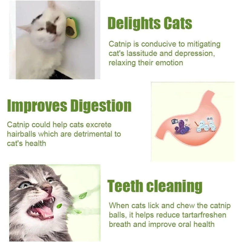 Abacate De Brinquedo Para Gatos Com Catnip Erva Gato Natural